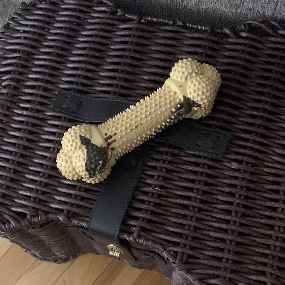Nylabone Dog Toy size lg